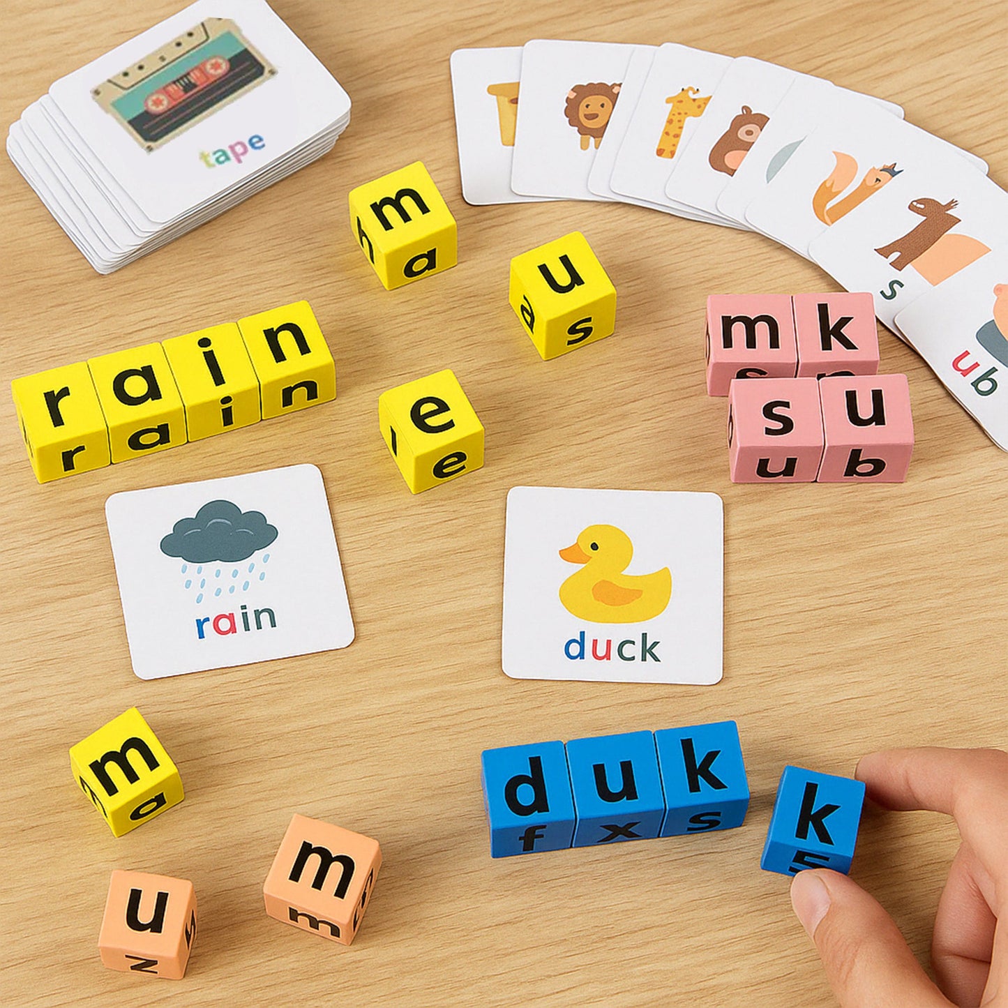 Spell and Thrive™ Word Wizard Challenge for Vocabulary and Spelling Skills