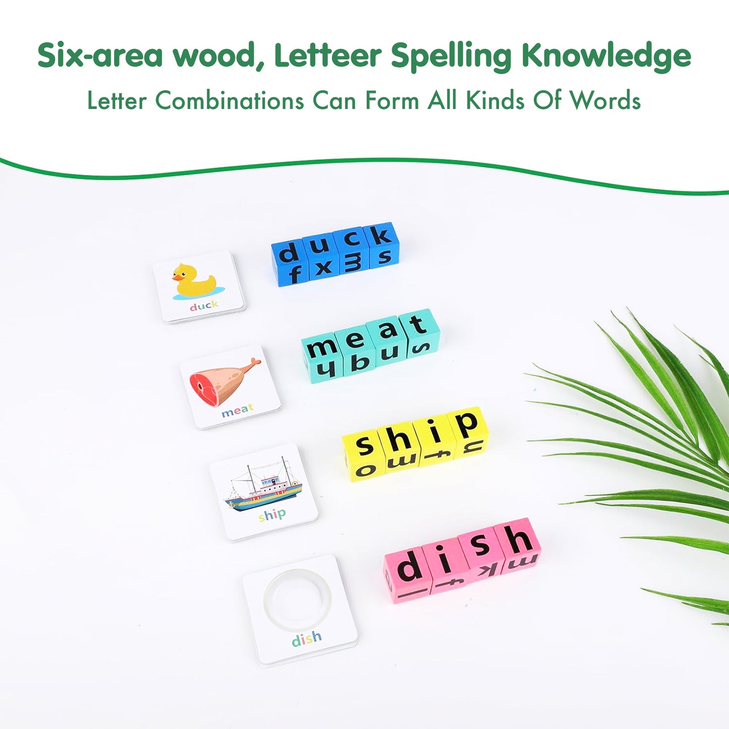 Spell and Thrive™ Word Wizard Challenge for Vocabulary and Spelling Skills