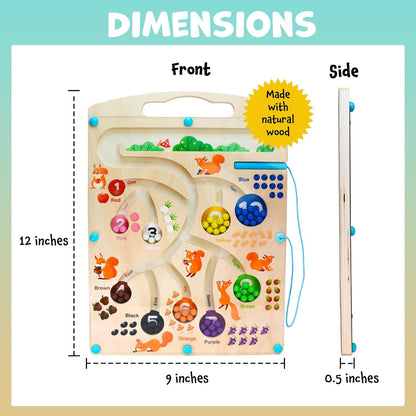 SquirrelQuest™ Magnetic Counting Maze for Early Math Skills