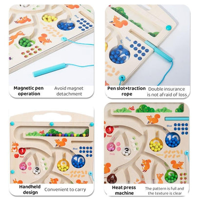 SquirrelQuest™ Magnetic Counting Maze for Early Math Skills